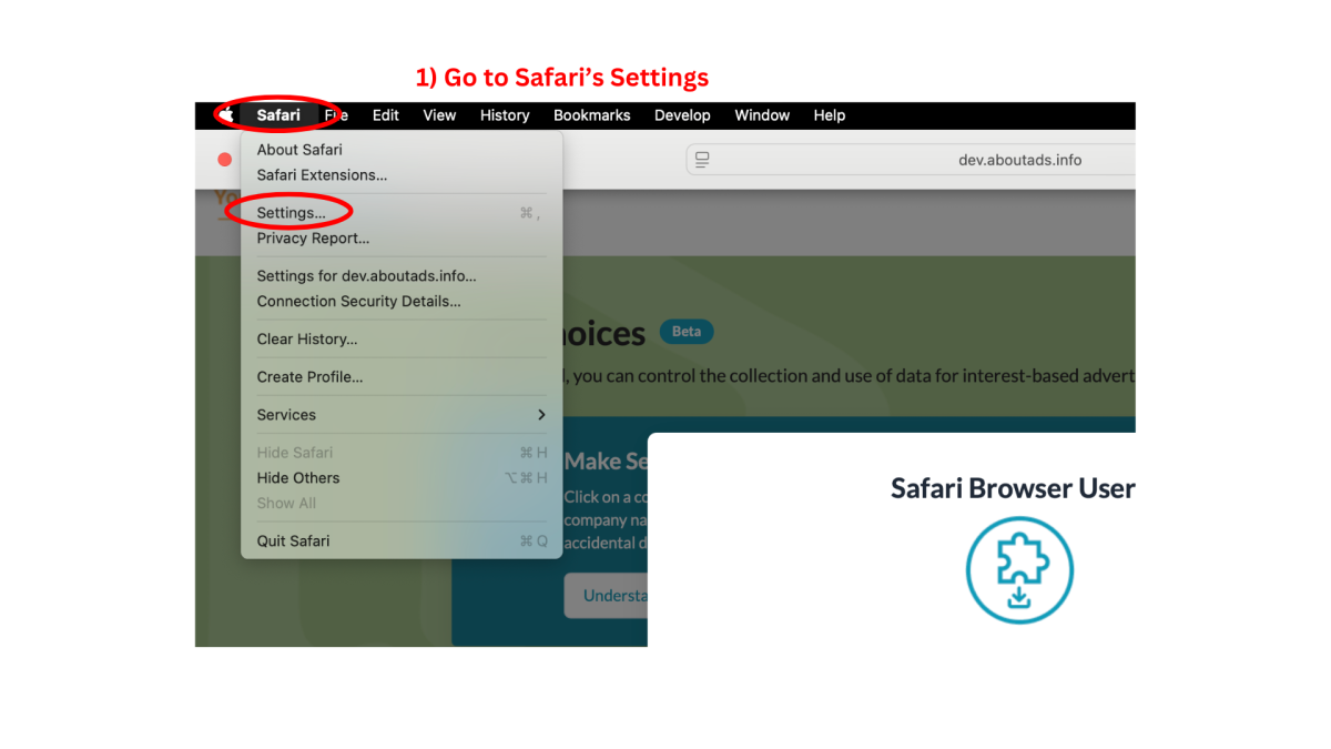 Safari Settings